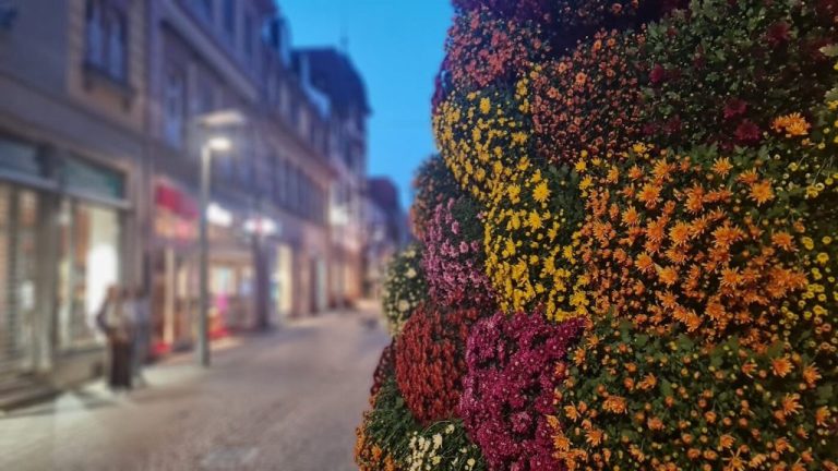 Arbeiten und Leben in Lahr